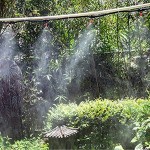 YUESEN Nebel Sprühdüse Garten Bewässerung Sprühdüsen Einstellbare Misting Kühlsystem Sprinkler Garten Bewässerungssystem 50 x Düse 50 x T-Stück