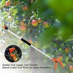 N J Gartenwerkzeug-Astscheren Baumschneider Gartenschneider mit Langer Reichweite langstielige Gartenschere für Äste Teleskop-Baumschere zum Schneiden von Ästen Obstpflücken Apfelpersimone