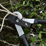OUTERA Astschere mit Compound Action 76 cm Baumtrimmer Die handliche Baumschere mit integriertem Getriebe für anspruchsvolle Schneidaufgaben