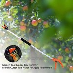 Qians Gartenwerkzeug-Astscheren Baumschneider Gartenschneider mit Langer Reichweite langstielige Gartenschere für Äste Teleskop-Baumschere zum Schneiden von Ästen Obstpflücken Apfelpersimone