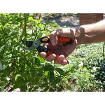 Garten Primus Gartenschere Rosenschere Rebschere Damenschere schwarz orange 17,7 x 4,8 x 1,6 cm 01020