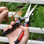 IWTTWY Gartenschere aus Edelstahl Handschere Baumschere für Pflanzen Obstbäume Blumen Zweige zum Beschneiden von Pflücken Trimmen