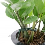 17,5 cm Pflanzenbinder Einstellbar 110 Stück Pflanzen Anbinder Kunststoff Schnellbinder für Pflanzen Unterstützung