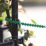 Kabelbinder Baumbinder Verstellbare Pflanzenbinder Gartenbinder Flexible Pflanzenkabelbinder zum Stützen von Rosenstrauchpflanzen 100 Stück Packung Grün