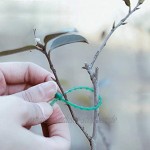 Kabelbinder Baumbinder Verstellbare Pflanzenbinder Gartenbinder Flexible Pflanzenkabelbinder zum Stützen von Rosenstrauchpflanzen 100 Stück Packung Grün
