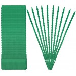 MengH-SHOP Verstellbare Pflanzenbinder Flexible Garten Pflanzen Anbinder Kunststoff Schnellbinder Pflanzenclips für Pflanzen Unterstützung 17cm 100 Stück Grün