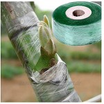 ZCXIONG. 2CM X 100M 1 Rolle Pfropfklebeband Gartenwerkzeuge Obstbaum SECATE SECATE TROFFE ARG GARDENDING Bind Bind Bind PVC Bandband