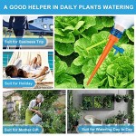 6 Stück Pflanzen Bewässerung Automatische Bewässerung Set für Topfpflanzen mit Einstellbar Ventil und Anti-Fall Halterung Bewässerungssystem Balkon Blumen Wasserspender Passen für Meisten Flaschen