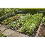 Gardena Start Set Pflanzflächen: Micro-Drip-Gartenbewässerungssystem zur individuellen flexiblen Bewässerung von Blumen- und Gemüsebeeten 13015-20
