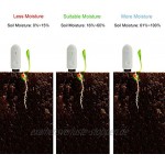 follwer0 Bodentester Bodenfeuchtemessgerät Präzisionstest Bodendetektor Für Pflanzenblumen Boden-Feuchtigkeitsmesser Bodentest-Kit Für Gärtner Innenpflanzen Im Freien
