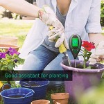 SONKIR Boden-pH-Meter 4-in-1-Bodenfeuchtigkeits- Licht- pH- Temperaturprüfer Garten-Werkzeugsätze für die Pflanzenpflege idealer Bodenmesser für Garten Rasen Bauernhof Batterie Enthalten grün