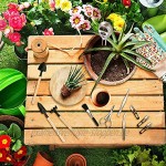 Ulikey Bodentester Boden Messgerät mit 10-Teiligem Bonsai Werkzeug Set 3-in-1 Boden Feuchtigkeit Meter mit Gartenschere Faltenschere Mini-Rechen Trimmer Set für Garten Pflanzen Wachstum Silver