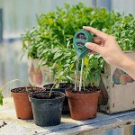 Wei Xi Boden-pH-Messgerät 3-in-1 Bodenfeuchtigkeitssensor Messgerät Sonnenlicht pH Bodentest-Kits für Haus Garten Rasen Bauernhof Innen- und Außenbereich fördert gesundes Wachstum von Pflanzen