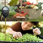 XLUX Bodenfeuchtesensor feuchtigkeitsmessgerät Pflanzen gießanzeiger Hygrometer für den Garten Zimmerpflanzen die Landwirtschaft Keine Batterien erforderlich
