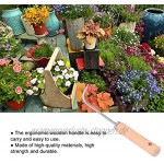 BOLORAMO Bonsai-Werkzeuge tragbarer langlebiger Bonsai-Wurzelrechen bequem für den Außenbereich für den Garten