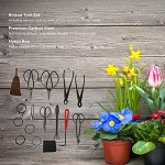 DFKEA Gartenwerkzeug Bonsai-Werkzeug Kohlenstoffstahl Topfpflanze Schere Gartenarbeit Rechen Blattschneider Set Kit