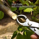 Jeanoko Langlebiger Knopfschneider 180 mm zum Trimmen von Bonsai-Werkzeugen in Kleiner Bonsai-Form