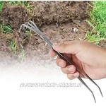 minifinker Bonsai-Werkzeug Bodenbearbeitungswerkzeug 2 in 1 Multifunktionaler Wurzelrechen Edelstahl-Wurzelrechen für Bonsai-Pflanzer