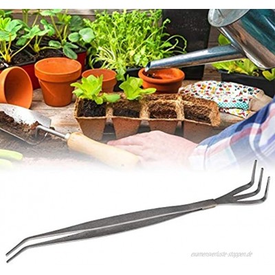 Raguso 3-Stift-Wurzelharken-Kit Bonsai-Werkzeug Wurzelharken aus rostfreiem Stahl Feine Verarbeitung für Anfänger Für Bonsai-Enthusiasten