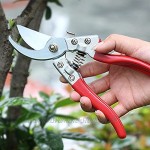 TYTG Bonsai-Werkzeuge Beschneidungsschere Schere Bonsai Gardening Secateure für Gartenpfropfwerkzeug Gartengeräte