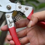 TYTG Bonsai-Werkzeuge Beschneidungsschere Schere Bonsai Gardening Secateure für Gartenpfropfwerkzeug Gartengeräte