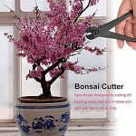 Zerodis Bonsai Zange Drahtzange Bonsaiwerkzeug Gartenarbeit für Bonsai Garten Professionell Manganstahl-Legierung 210mm