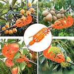 Obstpflücker Zum Ernten Mit Abnehmbarem Pol Apfelpflücker Teleskopstangen Metallpflückkopf Obstfänger Für Pfirsich Mango Jujube