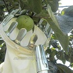 Xinlie Erntehelfer Obstpflücker Metall-Obstpflücker Apfelpflücker Fruit Picker Erntehelfer Obst-Pflücker mit Schonkappen | Ø 160 mm | Baumwollbeutel for Apple Orange Peach Pear,Outdoor Pick Tool