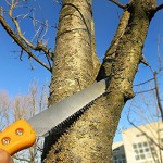 GRÜNTEK Gartensäge Handsäge BARRAKUDA 300 mm Baumsäge mit gehärteten Zähnen und Kunststoffhalfter Holzsäge Säge Astsäge