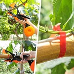Pflanze Binden Tapetool Weinberg Handbindemaschine Binde Garten Gemüse Gras Tapener für Gurken Tomaten