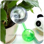 8er-Set Bewässerungskugeln Dosierte BewässerungKunststoff Wasserspender für Topfpflanzen Für Gartenpflanze Transparent L,Grün