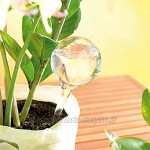 GLITZFAS Bewässerungskugeln 8er Set Dosierte Bewässerung Kunststoff Wasserspender für Topfpflanzen Transparent