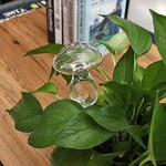 HoaJeo Selbst Bewässerung Globus Pflanze Blume Wasser Glühbirnen Tiere Form Glas Heim Dekor Pflanze Selbst Bewässerung System 1 Stück Pilz