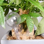 KEKOL 10 Stück Pflanzenbewässerungsbirnen 5 cm automatische Pflanzenbewässerungskugeln Zwiebeln Dekoratives Selbstbewässerungssystem für den Gartentopf im Innen- und Außenbereich