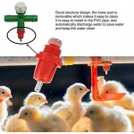Lantro JS Geflügel-Tränkkopf Hühnertrinker 100-teiliger Geflügelschrauben-Tränker für PVC-Rohr auf der Hühnerhülle auf dem BauernhofBig Head
