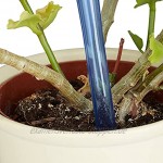 Relaxdays Bewässerungskugeln 4er Set Dosierte Bewässerung 2 Wochen Versenkbar Deko Topfpflanzen Kunststoff Blau