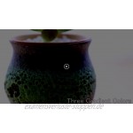 T4U 7cm Sukkulenten Töpfe mit Untersetzer 3er-Set Klein Keramik Blumentöpfe für Kaktus Moos Mini Zimmerpflanzen