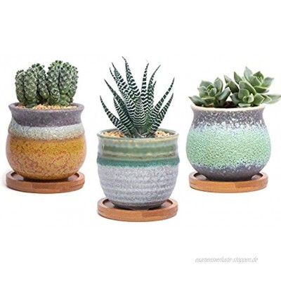 T4U 7cm Sukkulenten Töpfe mit Untersetzer 3er-Set Klein Keramik Blumentöpfe für Kaktus Moos Mini Zimmerpflanzen