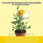 Teekit Selbstbewässernde Globe Pflanze Wasser Blumenzwiebeln Tierform Glas Home Decor 1 Pcs Swan S