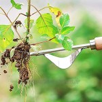 YAVO-EU Unkrautstecher Edelstahl Ampferstecher zur Garden Grundausstattung mit Holzgriff Gartengeräte Gartenwerkzeug
