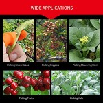 Daumenschneider Silikon Daumenmesser Separate Gummifingerwanne zum Pflücken von Gemüse Erdbeeren Traubenpflücker für die Gartenernte