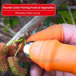 Daumenschneider Silikon Daumenmesser Separate Gummifingerwanne zum Pflücken von Gemüse Erdbeeren Traubenpflücker für die Gartenernte