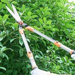 CAETNY Garden Loppers Teleskop-Heckenschere mit langem Griff und gewellter Klinge Gräser Büsche Obstbaumschneiden Reparatur Blumenschere Gartengerät