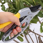 YFFSBBGSDK Gartenschere Gartenschere Gartenschere Hochkohlenstoffstahlschere Handheld-Gartengeräte Schnittwerkzeuge zum Beschneiden von Obstbaumzweigen