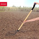 KADAX wirksame Harke mit D-Griff Rübengabel mit Arbeitsteil aus Stahl Gabel mit langem Stiel aus Holz Kartoffelgabel Gartenharke für Rüben 6 Zinken Schwarz