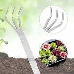 Wurzelkralle Harke 3 Gabelung Edelstahl Handgrubber Hand Rechen Bodenfräse Werkzeug mit ergonomischem Griff für Gartenarbeit Boden lockern
