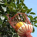 Faderr Wiederverwendbarer Obstpflücker leichter Baum Obsterntescher Erntewerkzeug für Orange Birne Zitrone Pfirsich
