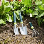 Basics Gartenwerkzeug-Set 3-teilig mit Kelle Umpflanzkelle und Handharke