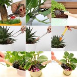 LIHAO 9tlg Mini Gartenwerkzeug Set für Mini Pflanzen Sukkulenten Topfpflanze Bonsai Werkzeug Gartenarbeit MEHRWEG
