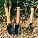 Nifocc Mini Gartenwerkzeug Set Pflanzwerkzeuge Holzgriff Eisen Rechen Spaten für Pflanze Blumen Sämlinge Topftransplantation und Graben 3 STK